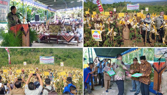 Polbangtan YoMa Dukung Ditjen TP Kementan Bangun Potensi Jagung Gunung Kidul